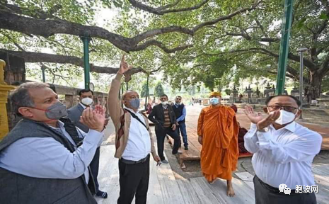 ​专家科学规划保护印度释迦摩尼佛祖的菩提树