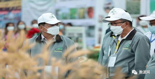 ​2022年种子展览在内比都彬木那农业学院举行