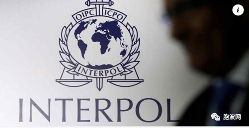 国际刑警组织INTERPOL拒绝与缅甸军方合作
