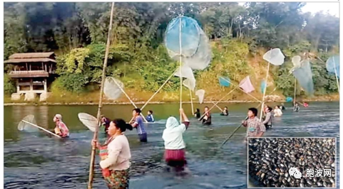 中国人收购，“臭虫”变宝贝