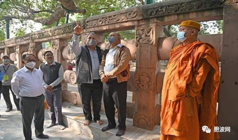 ​专家科学规划保护印度释迦摩尼佛祖的菩提树
