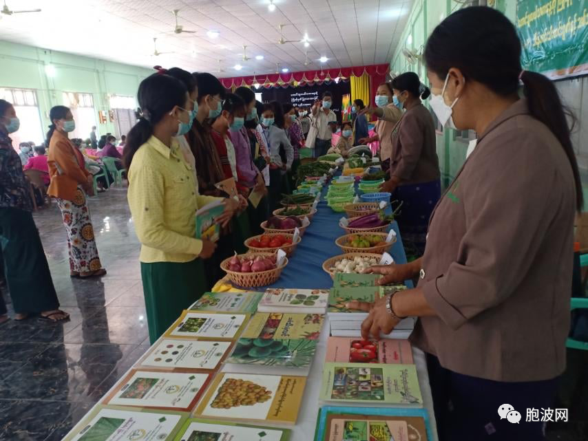 农业技术培训班暨果蔬展览在蒙育瓦县羌乌镇区举行