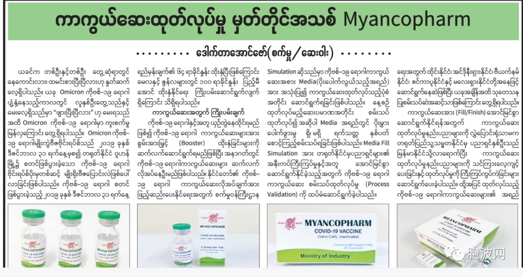缅甸抗疫里程碑：生产疫苗MYANCOPHARM
