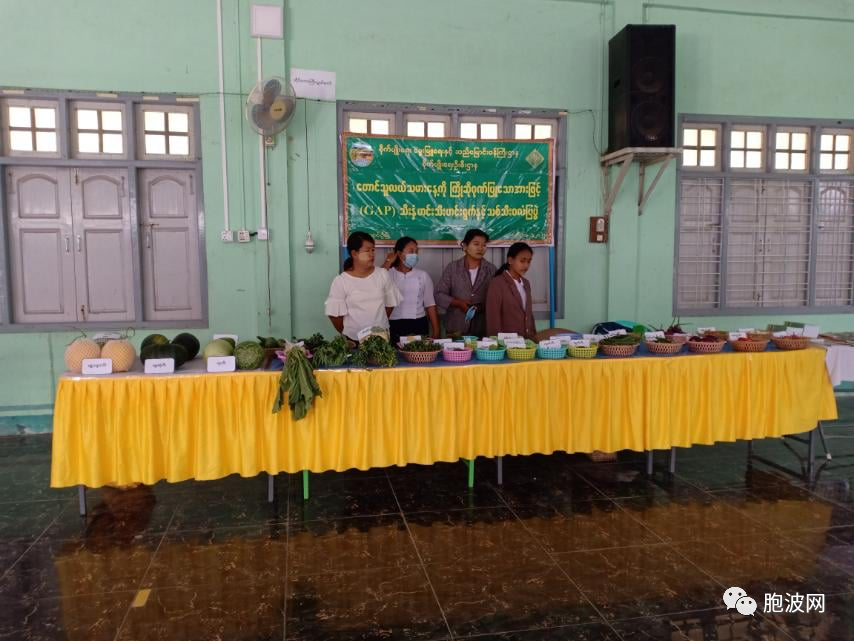 农业技术培训班暨果蔬展览在蒙育瓦县羌乌镇区举行