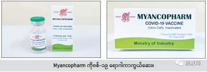 中缅联合生产的MYANCOPHARM疫苗四月将推广使用