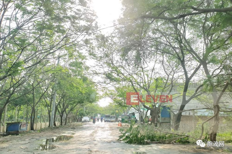 图片集：狂风暴雨后的缅甸