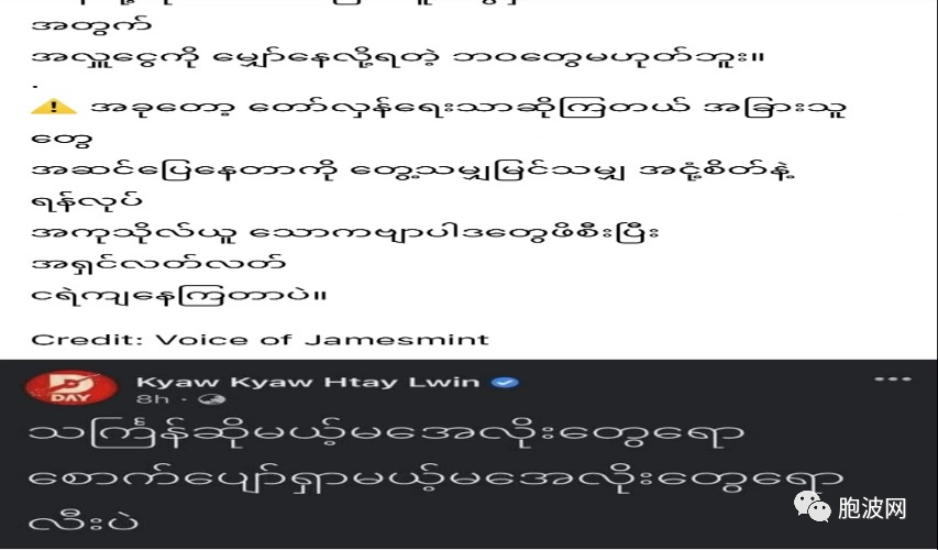 缅甸网民的呐喊：你们的“革命”是极端是仇视是嫉妒！