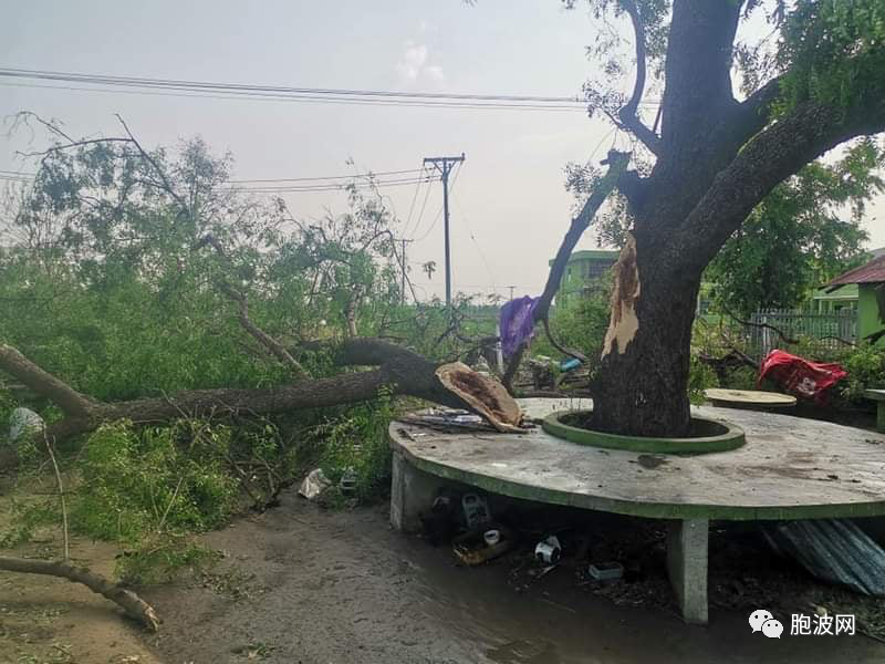 图片集：狂风暴雨后的缅甸