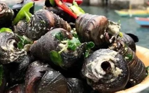 缅甸特产之：抗癌海螺