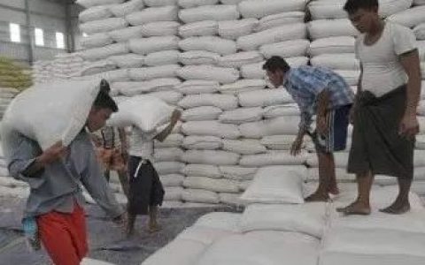 缅甸出口夏季大米的数据