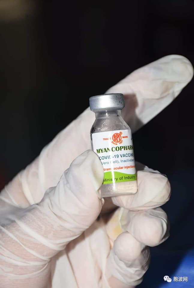 在缅甸生产的瓶装疫苗MYANCOPHARM开始投入接种