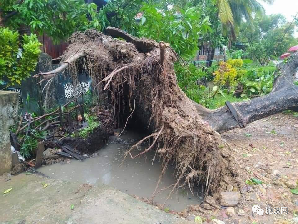 热带小风暴侵袭孟邦毛淡棉