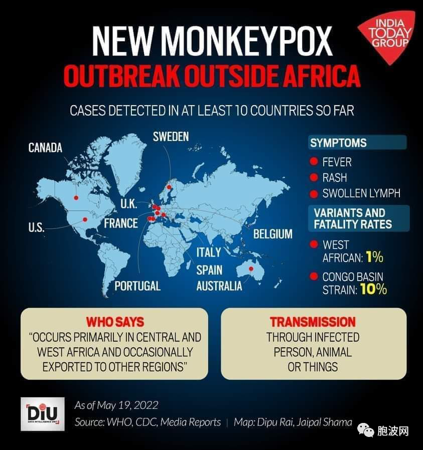 一波未平一波又起：​又一国际性灾难“猴痘”蔓延？