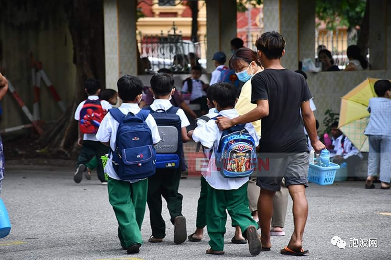 教育新闻：中小学最终的报名数据+高考成绩即将出榜