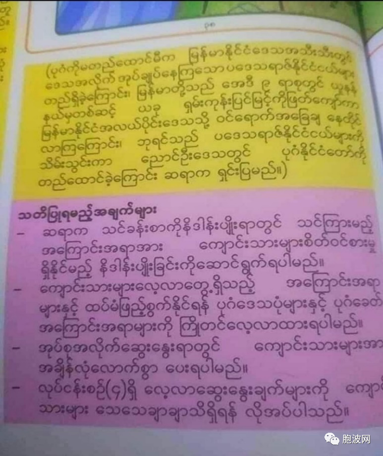 缅甸历史教科书：缅族迁自中国云南