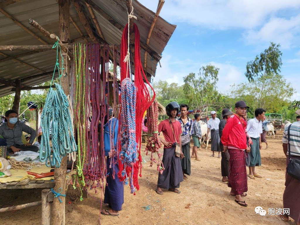 缅甸中部内比都勒威镇区五日集市中的真正牛市！