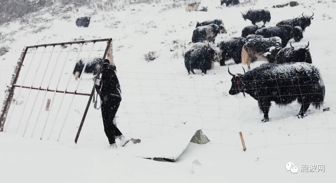 ‘我住江之头’电影周活动