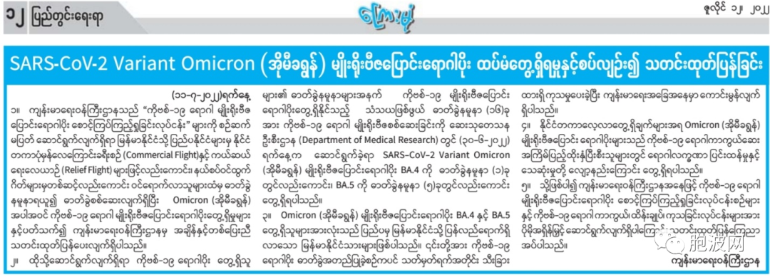 缅甸发现新冠肺炎最新变异毒株OMICRON BA-4与BA-5！