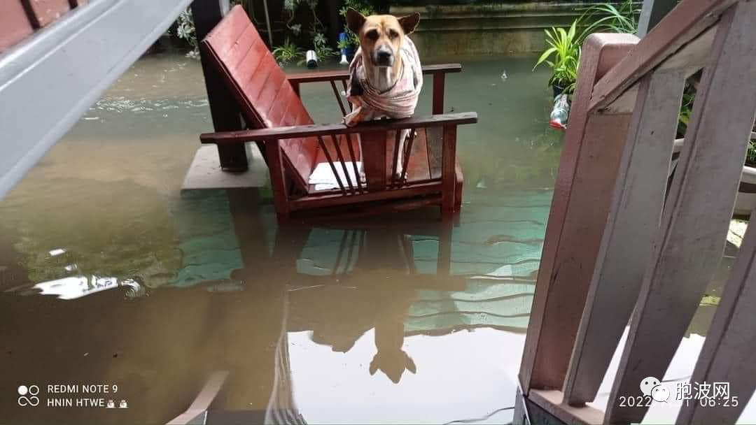 今早大雨曼德勒省彬乌伦多处被水淹！