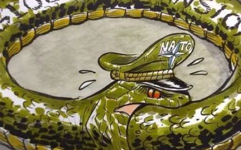 缅甸7月漫画：M国自食恶果