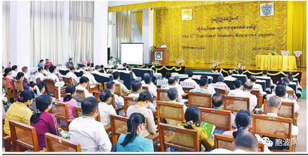 第11届缅甸传统医学学术研讨会在缅医大举行