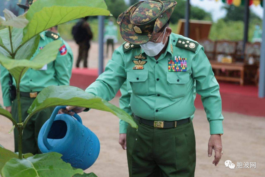 缅甸社会动荡，军方高层悠闲种树