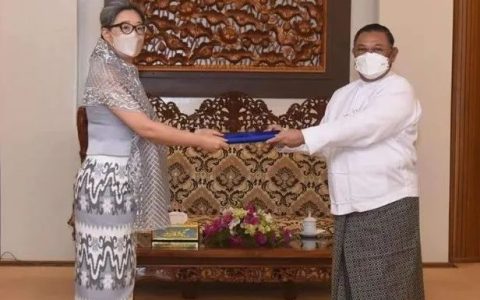 联合国粮农组织驻缅甸代表向外长递交任命书，那缅甸现驻联合国代表是谁？