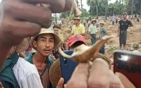 缅甸骠国遗址文物遭疯狂盗采！