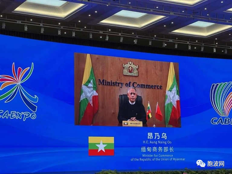 缅甸联邦部长参加第十九届中国东盟博览会开幕式