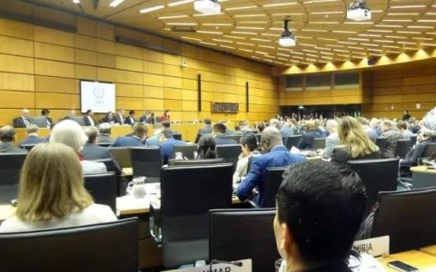 缅甸代表频频参加联合国等国际组织的活动