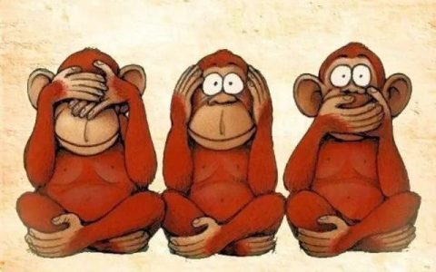 苦中作乐：缅甸网络经典语录