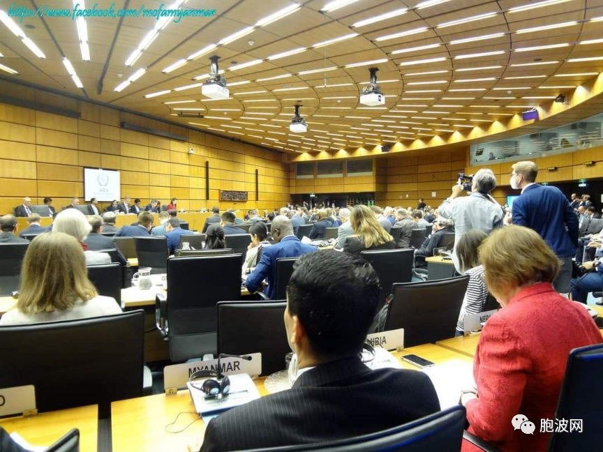 缅甸代表频频参加联合国等国际组织的活动