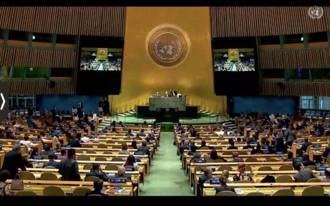关于缅甸驻联合国大使一事，反军方阵营在世界各地示威