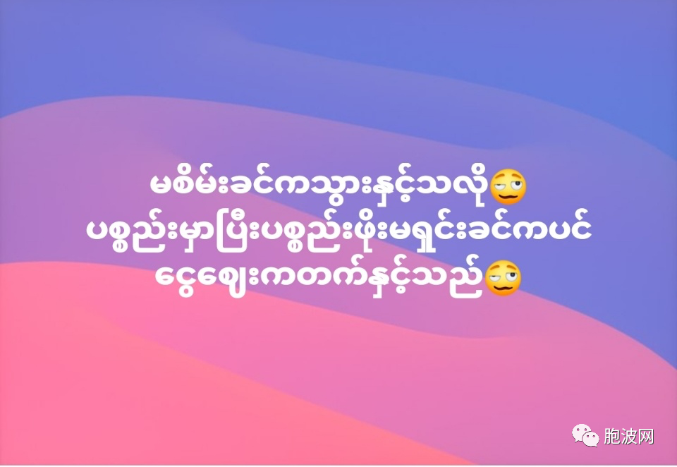 苦中作乐：缅甸网络经典语录