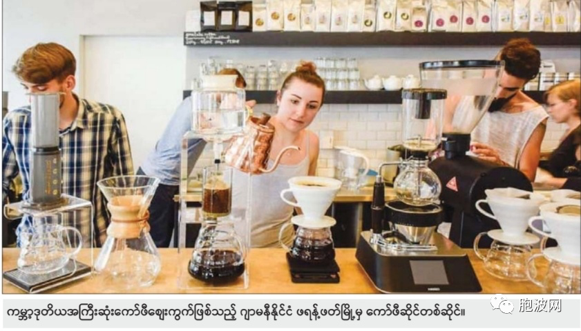 缅甸咖啡将进军德国