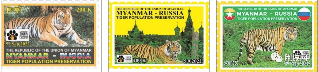 缅俄保护老虎纪念邮票即将发行
