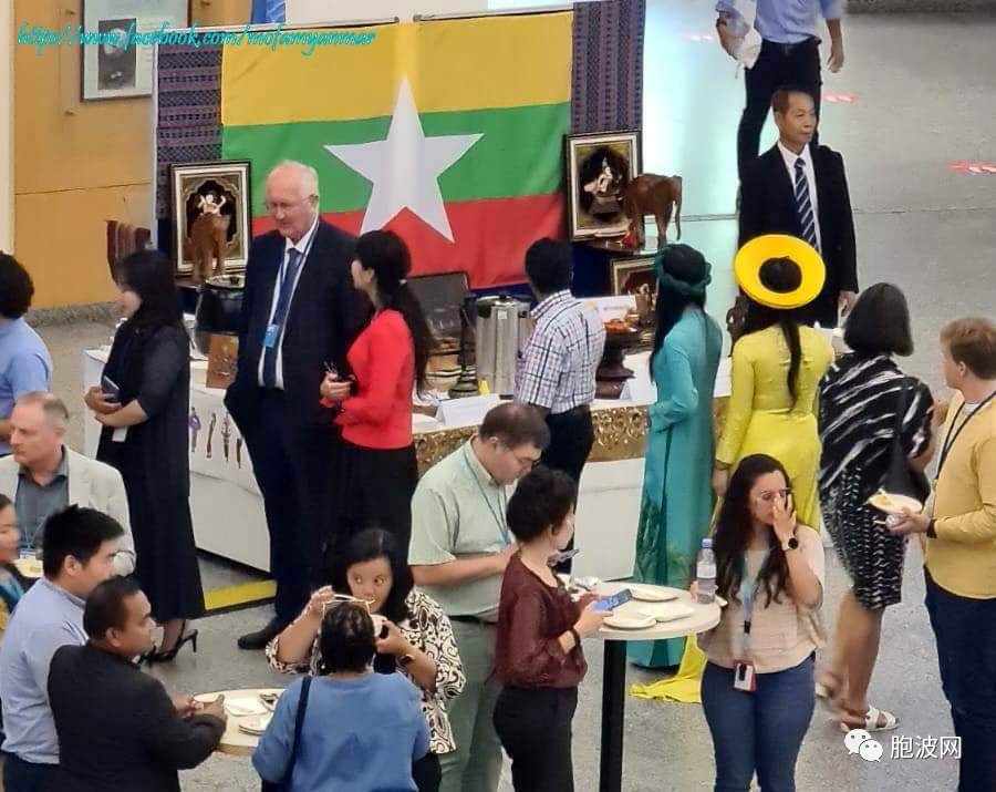 缅甸驻联合国国际组织常务代表参加在维也纳举行的第55届东盟纪念日庆典