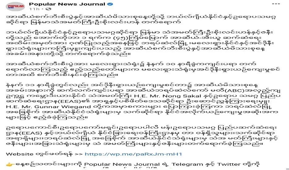 缅甸驻外使节外事活动频频