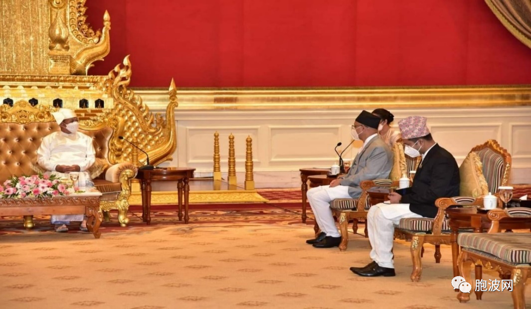 两位驻缅甸大使递交国书