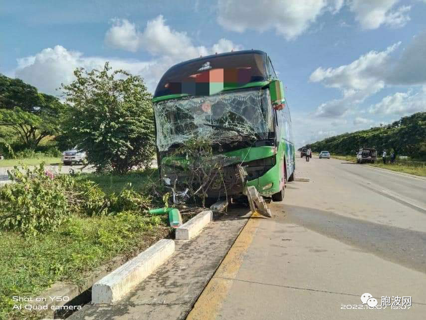 一头牛在高速公路上引发的车祸！