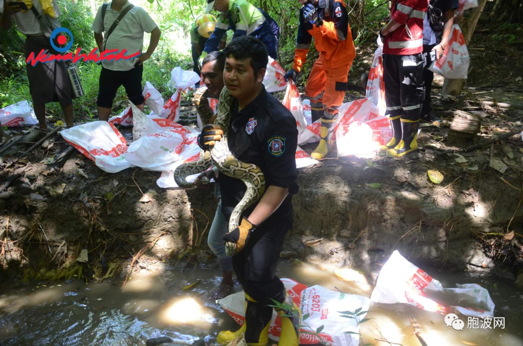 放蛇归山（PHOTO NEWS照片新闻）