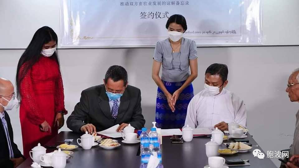 缅甸畜牧业协会与德宏州贸易商会驻缅甸代表处签署合作