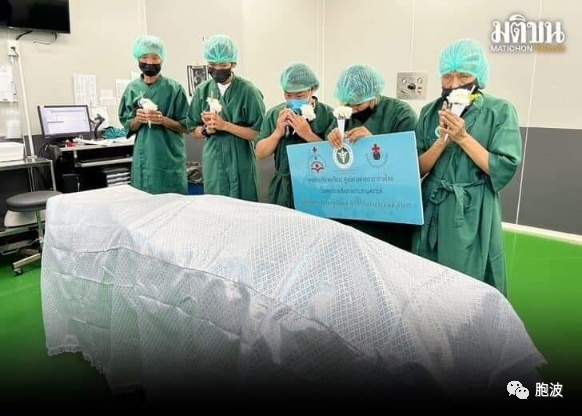​泰国医务人员向捐献器官的缅甸外劳致敬