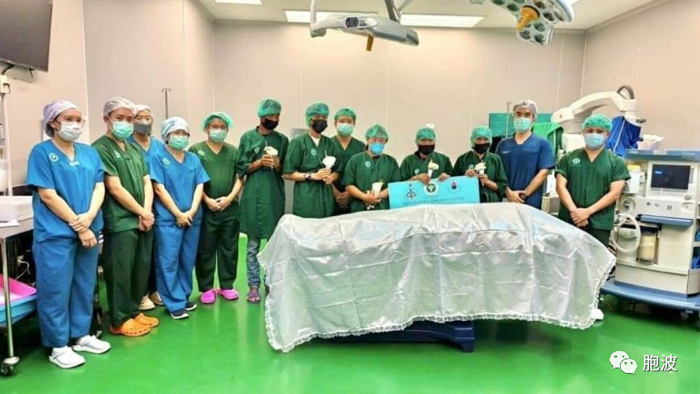 ​泰国医务人员向捐献器官的缅甸外劳致敬