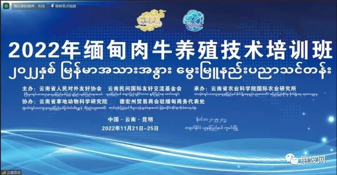 驻曼德勒总领事馆张巍副总领事出席2022年缅甸肉牛养殖技术培训班开班仪式并致辞