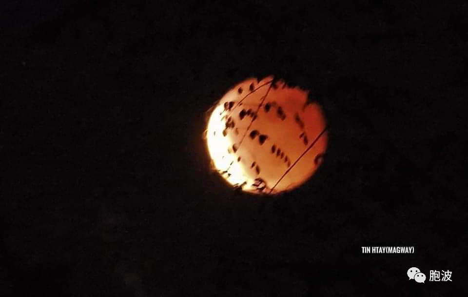 2022年11月8日缅甸天空出现天狗吃月亮！