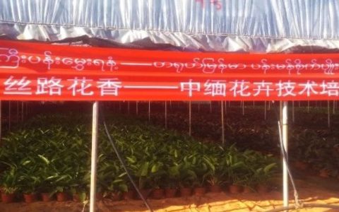 滇王花卉公司在彬乌伦举办“丝路花香——中缅花卉技术培训”