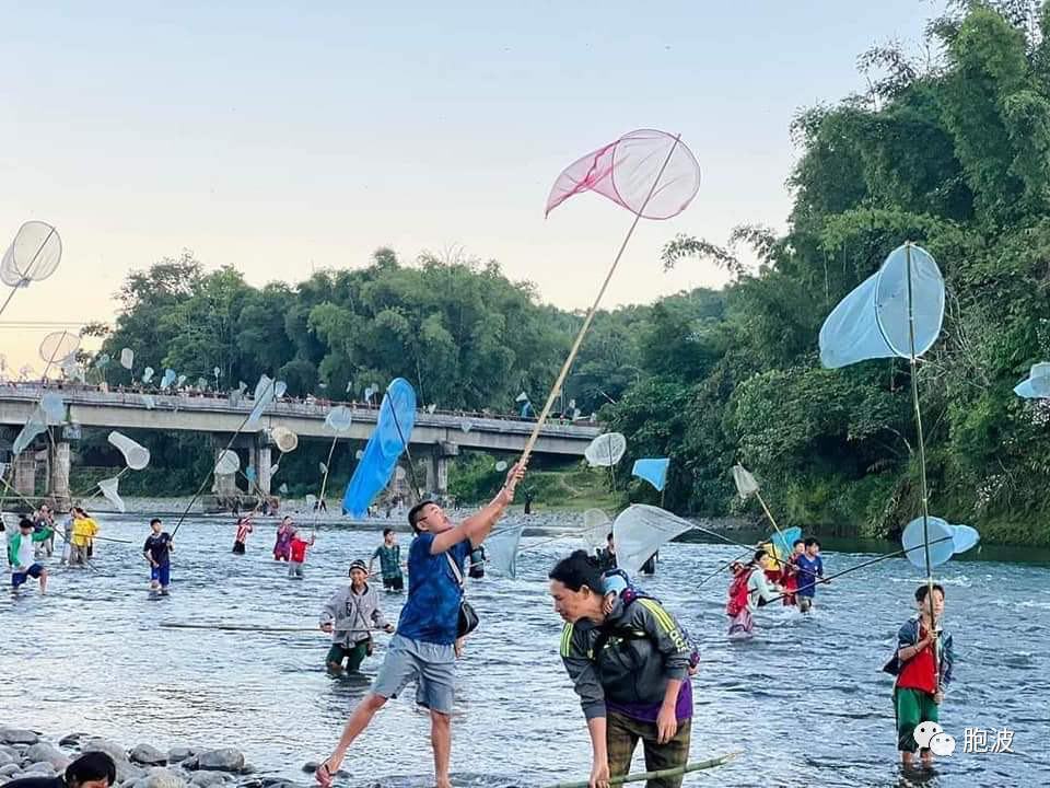 缅甸北端葡萄镇区：又是一个捕虫季