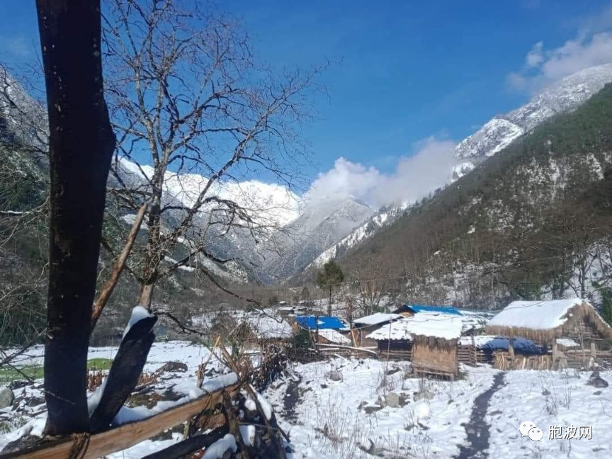 白雪皑皑：冰雪覆盖的缅甸村庄（照片新闻）