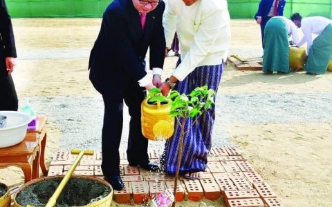 日缅亲密：在大佛塔内栽种樱花树